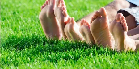 people laying down in green healthy grass