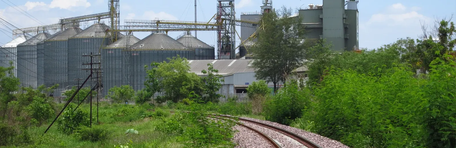 factory with overgrown vegetation